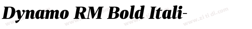 Dynamo RM Bold Itali字体转换